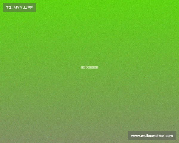 印地500一年几场比赛